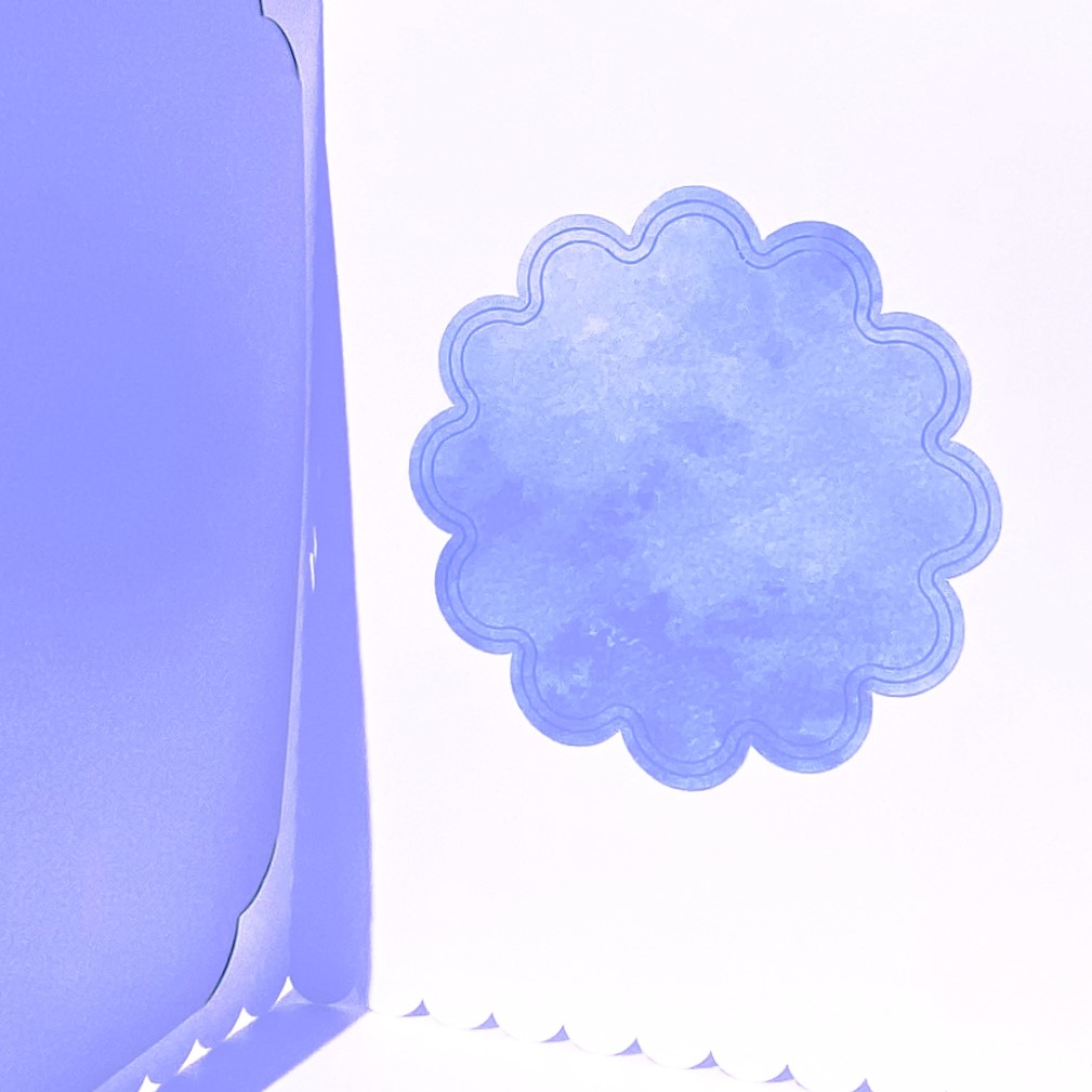 7 flower card inside