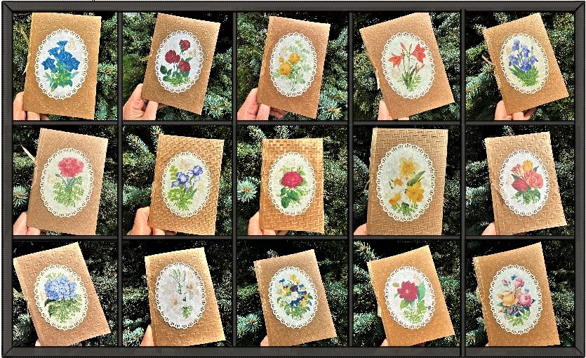 Floral Oval Cards